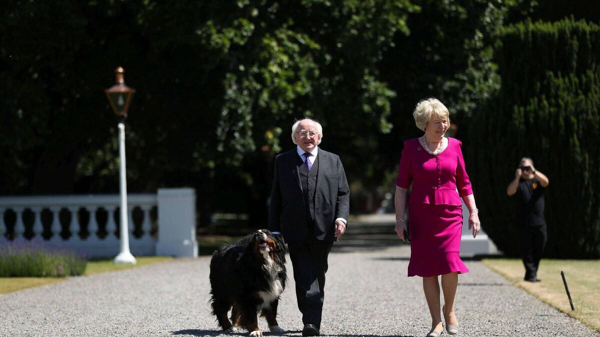 Roscommon apple tree to be planted at Áras an Uachtaráin in memory of President’s dog