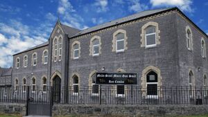 Roscommon girls secondary school announces move to co-ed status