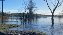 Road closure due to rising water levels leaves County Roscommon community ‘devastated’ as some residents have to vacate their homes 