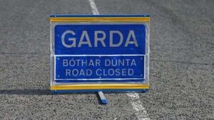 Man dies in single-vehicle collision in Co Kilkenny