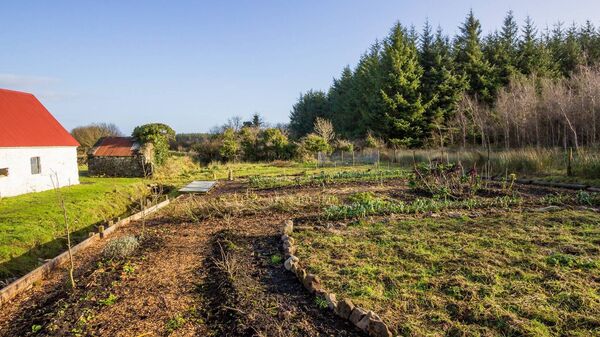 This property has a large garden to the rear. 