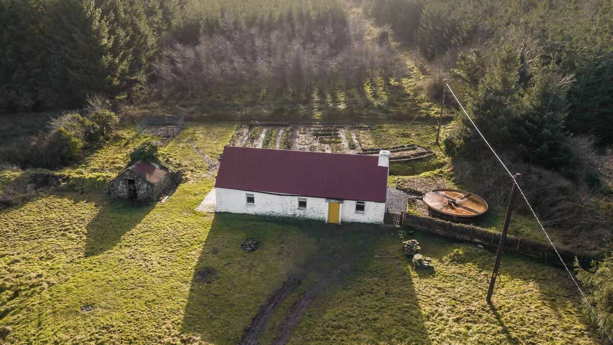 Charming County Roscommon cottage in woodland setting is over 200 years old