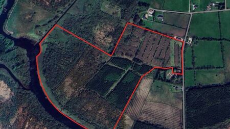 Sixty acres of land and forestry on the market in County Roscommon