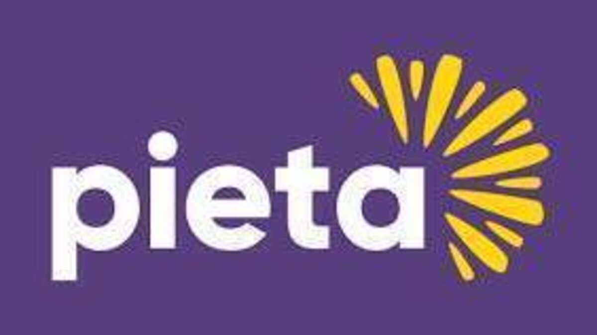 ‘Brightness Day’ at Curraghboy NS raises funds for Pieta