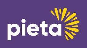 'Brightness Day' at Curraghboy NS raises funds for Pieta - News - Vimarsana News