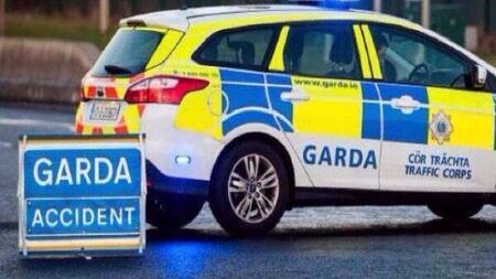 Gardai at the scene of County Roscommon road collision