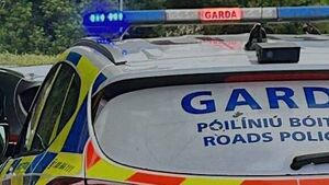 Burglary gang try to evade Garda detection by jumping into river