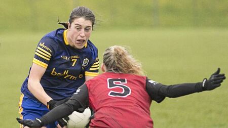 Roscommon players involved in O’Connor Cup semi-finals