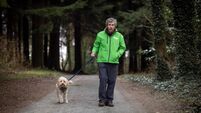  Journalist and campaigner Charlie Bird dies aged 74 