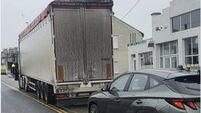 Roscommon Gardai issue slow down appeal after truck driver is stopped