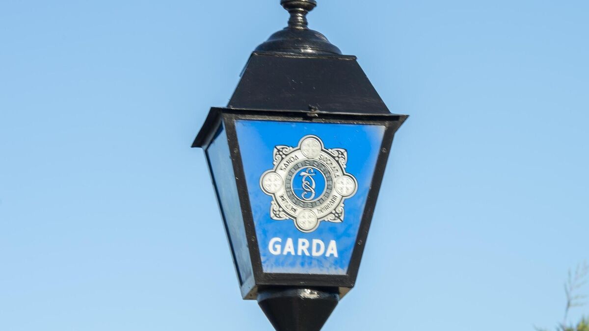 Man arrested following robbery at County Roscommon shop