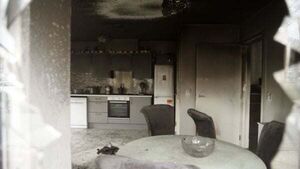 Gardaí investigate suspected arson incident in Co Dublin Gardaí investigate suspected arson incident in Co Dublin