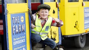 Late Late Toy Show star Sheamie Garrihy encourages Roscommon schools to visit 'The Lidl Farm'