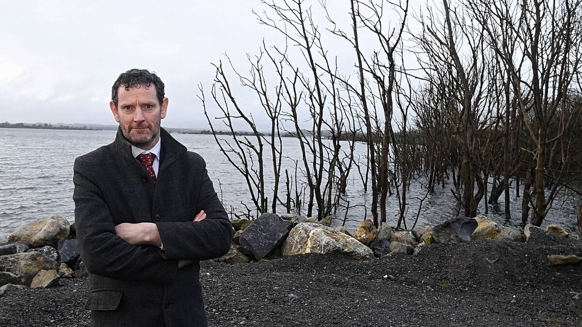 Fine Gael MEP Colm Markey opts out of European elections in June