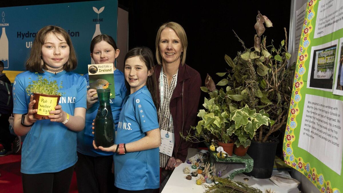 Roscommon students shine bright at ESB Science Blast