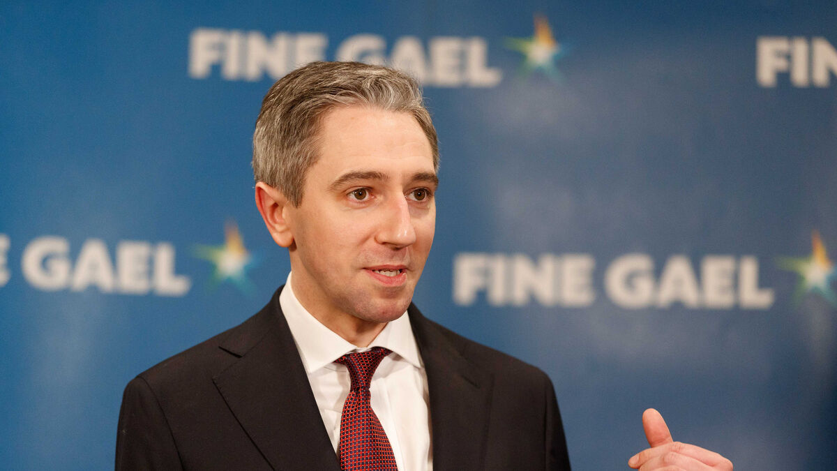Opinion: How will rural Ireland fare under the new Taoiseach?