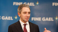 Opinion: How will rural Ireland fare under the new Taoiseach?