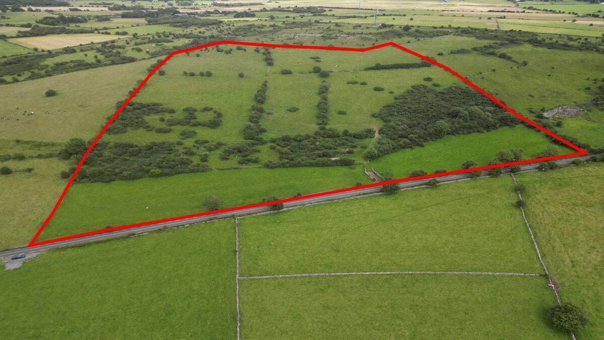 Prime County Roscommon land sold
