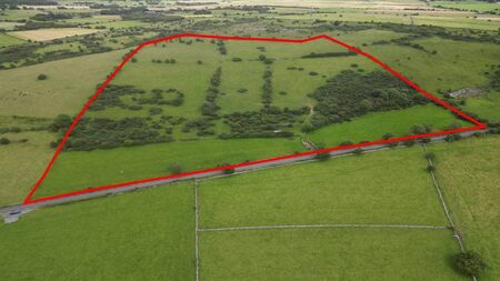 Prime County Roscommon land sold