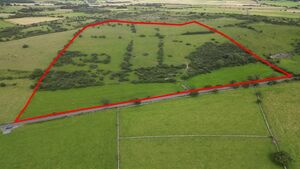 Prime County Roscommon land sold