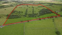 Prime County Roscommon land sold 