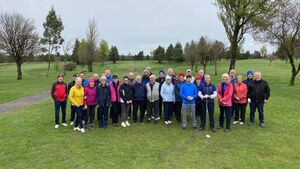 Local Notes: Irish classes, Trien Players and music sessions