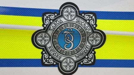 Gardaí appeal for witnesses after house fire and alleged assault in Dublin