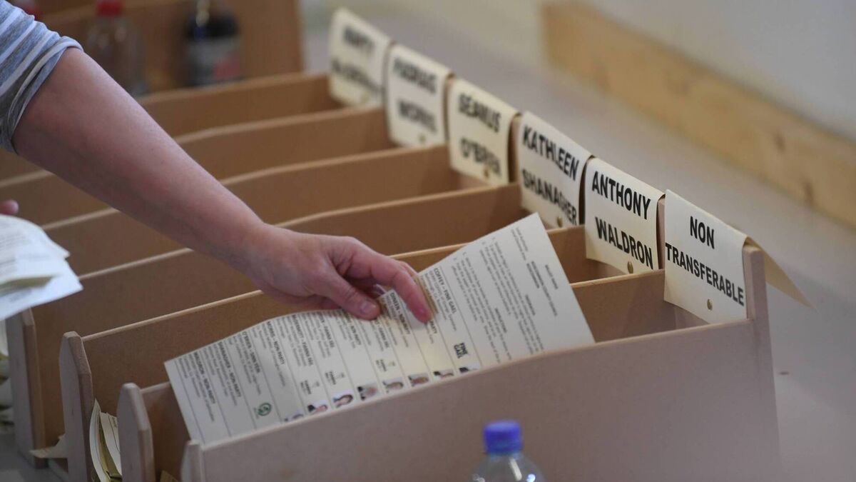 Roscommon Women's Network hosting voter education workshop