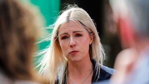 People granted asylum who commit crime should be deported – Fianna Fáil senator People granted asylum who commit crime should be deported – Fianna Fáil senator