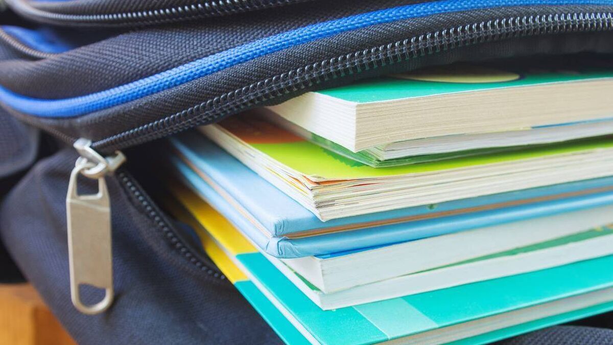 Almost 2,900 Roscommon students to benefit from free schoolbooks