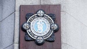 Garda says videos of protest outside O’Gorman’s home are 'sensationalised' Garda says videos of protest outside O’Gorman’s home are 'sensationalised'