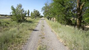€1.5m funding allocation for repairs on county’s rural roads and laneways