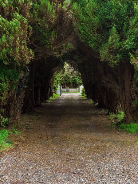 The property is accessed by a sweeping driveway flanked by trees. 