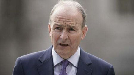 ‘Clear that social media site X not interested’ in sorting online hate – Martin