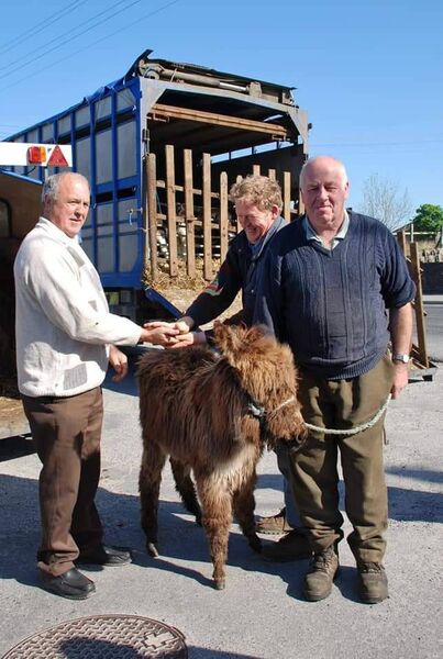 This May Bank Holiday, ‘The Shambles’, in Ballaghaderreen will again play host to the event, which in the past, saw people come from far and wide. Pic. Eithne Gallagher