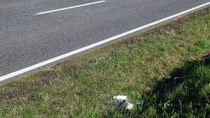Concern that littering on N5 could cause major accident Concern that littering on N5 could cause major accident