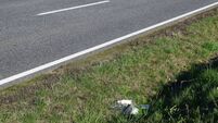 Concern that littering on N5 could cause major accident