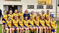 Ladies’ match in County Roscommon interrupted by ‘pitch invader’ 