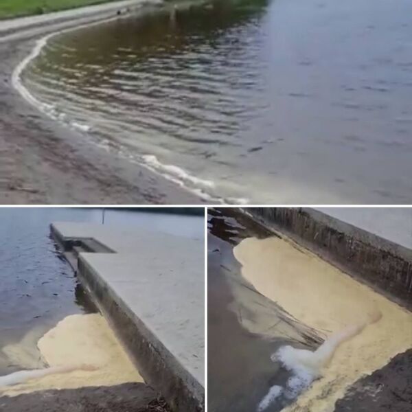 There is local speculation that the strange powdery substance may have been airborne. There is local speculation that the strange powdery substance may have been airborne.