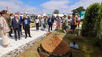 Roscommon garden to feature at Bloom Festival
