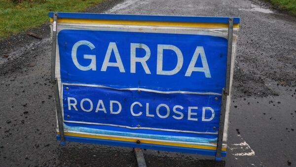 Woman fatally injured in N17 collision