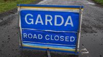 Woman fatally injured in N17 collision