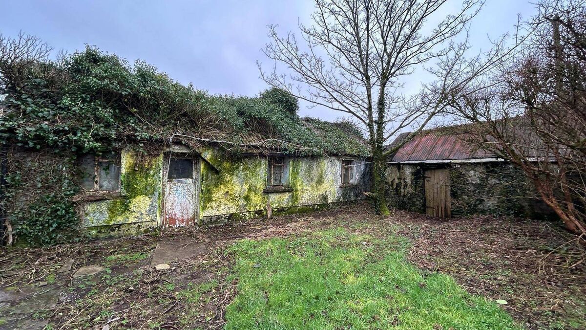 Derelict country cottage on the market for €29,000