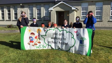 Sixty eight percent of traffic passing County Roscommon school exceed speed limit