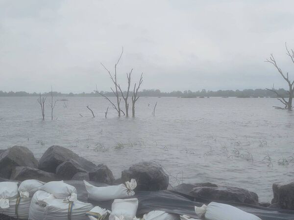 Full grown trees submerged in water at Lough Funshinagh. In the foreground are sandbags trying to keep the water away from houses.