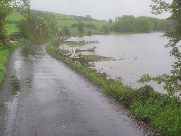 Flooding at Lough Funshinagh near a local road.