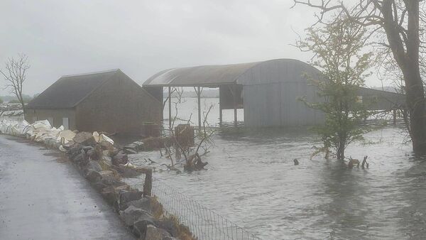 Tánaiste views distressing flooding scenes during Lough Funshinagh visit