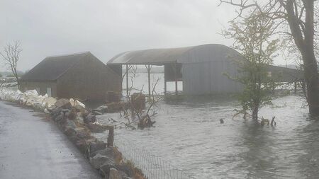 Tánaiste views distressing flooding scenes during Lough Funshinagh visit