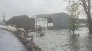 Tánaiste views distressing flooding scenes during Lough Funshinagh visit