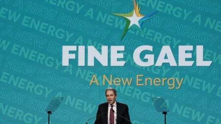 Fine Gael candidate drops out of local elections after planning allegations